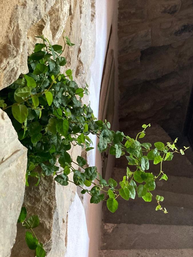 House In The Medieval Village Apricale Exterior foto